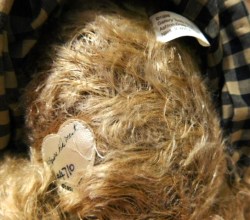 theodora bear foot a